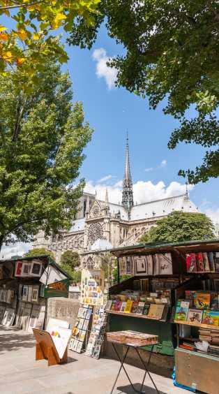 Vue de Notre Dame depuis les quais de la Seine